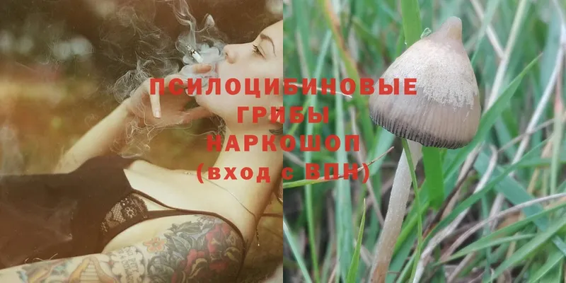 Псилоцибиновые грибы MAGIC MUSHROOMS  Урюпинск 